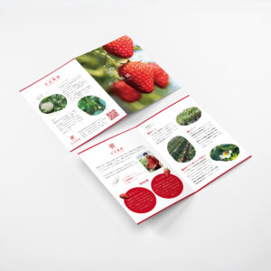 いちご農園のリーフレット